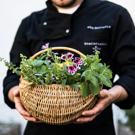 krevet i doručak Spacapanova Hisa Komen