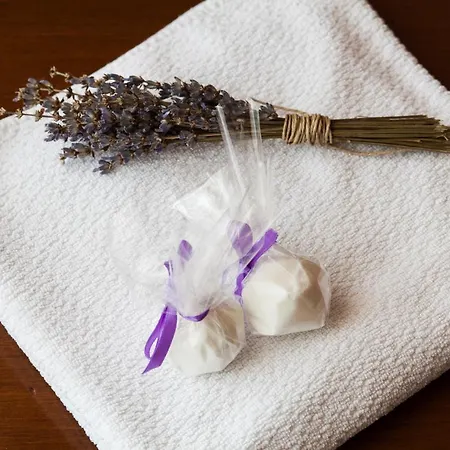 Spacapanova Hisa Oda ve Kahvaltı Komen