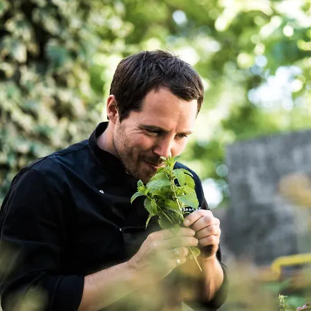 krevet i doručak Spacapanova Hisa