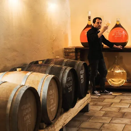 Spacapanova Hisa Oda ve Kahvaltı Komen