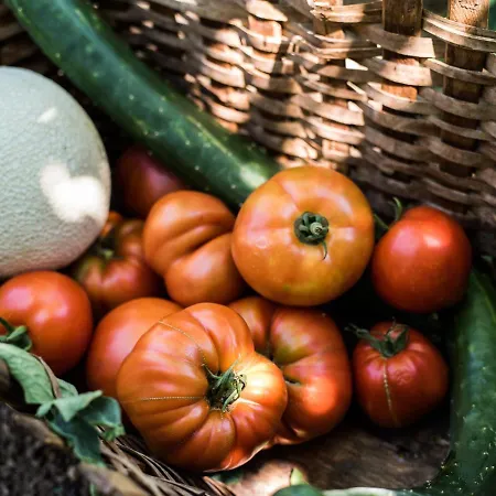 krevet i doručak Spacapanova Hisa