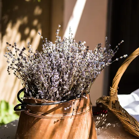 Spacapanova Hisa Bed & Breakfast 4*