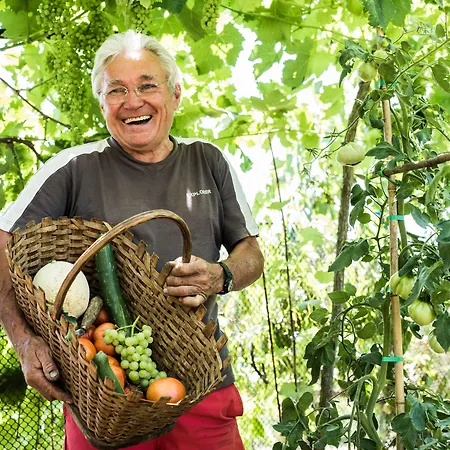 Oda ve Kahvaltı Spacapanova Hisa Komen