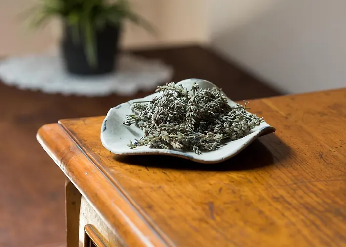 Bed & Breakfast Spacapanova Hisa