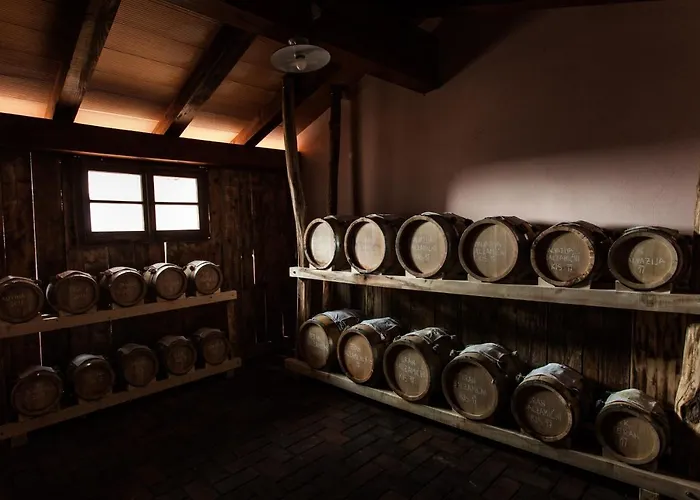 Spacapanova Hisa 4* Komen