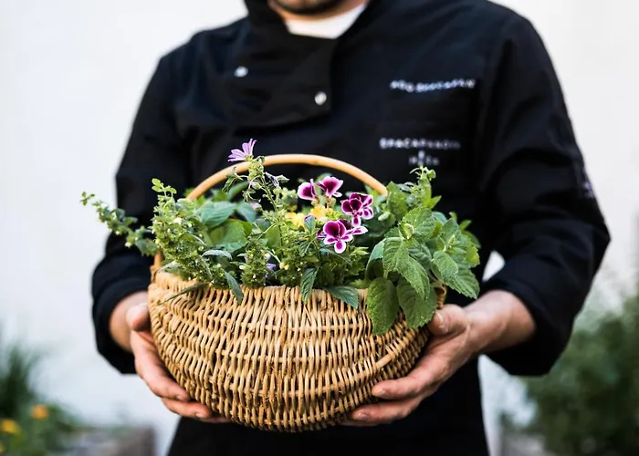 Oda ve Kahvaltı Spacapanova Hisa Komen