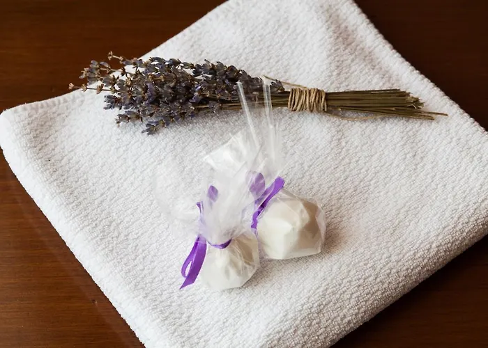 Spacapanova Hisa Bed & Breakfast Komen