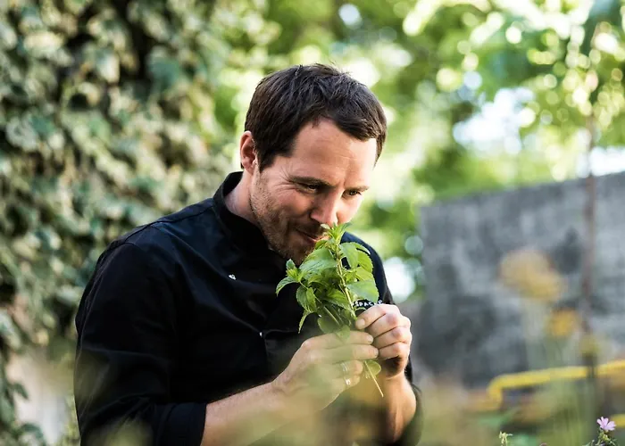 Oda ve Kahvaltı Spacapanova Hisa