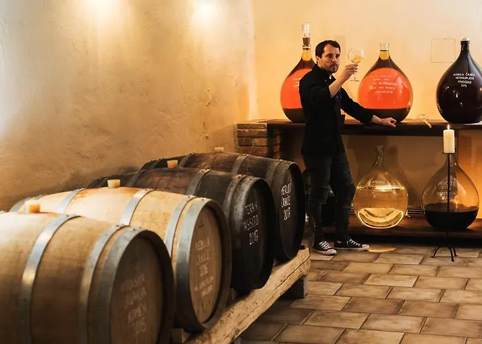 Spacapanova Hisa Bed & Breakfast Komen