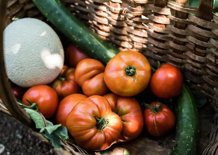 Bed & Breakfast Spacapanova Hisa