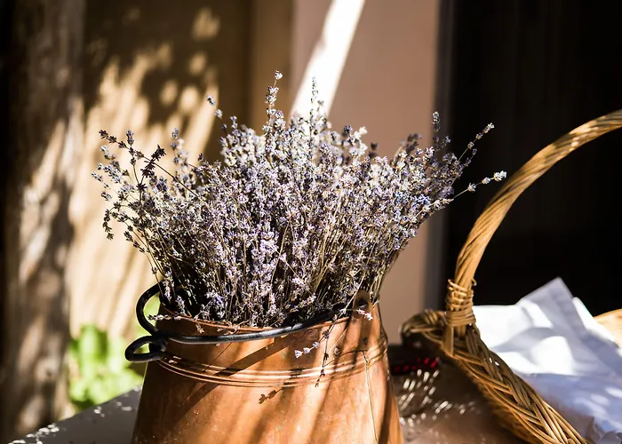 Spacapanova Hisa Bed & Breakfast 4*