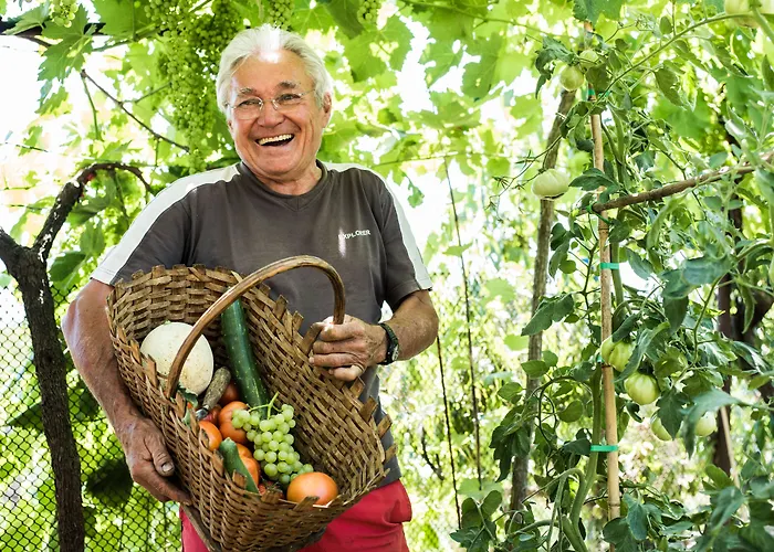 Bed & Breakfast Spacapanova Hisa Komen